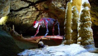 cave